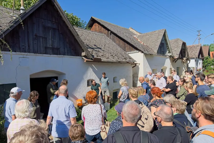 Young Earth Builders Michi und Michael haben im Zuge einer Kellergassen-Exkursion einen Crashkurs im Prüfen und Verputzen von Vor-Ort-Lehm gegeben.